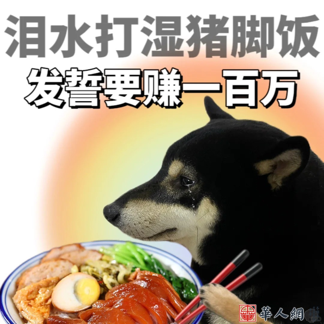 表情包_泪水打湿生活_1_柴柴憨憨_来自小红书网页版.jpg