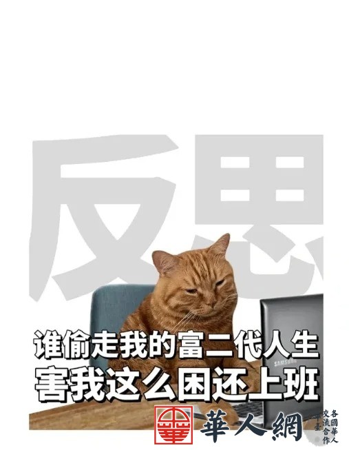 打工人九大美好品德～_2_摸鱼贝贝_来自小红书网页版.jpg